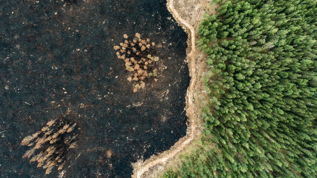 On why the Science Based Targets Initiative should not allow more carbon offsetting to address Scope 3&nbsp;emissions